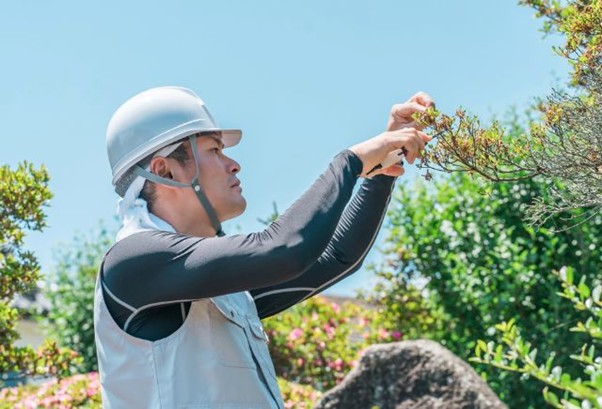 造園工事業界のM&A動向